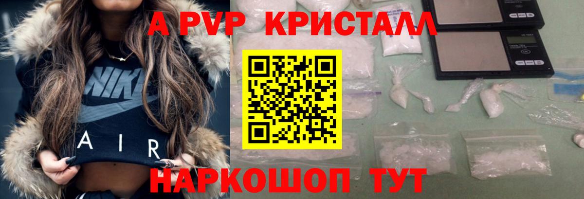 APVP СК Санкт-Петербург