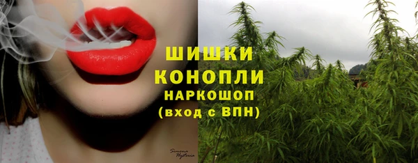 молекула духа Болотное