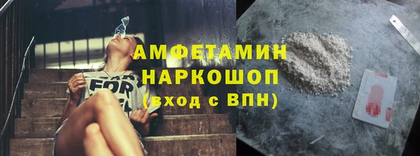 молекула духа Новозыбков