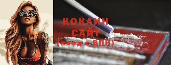 молекула духа Новозыбков