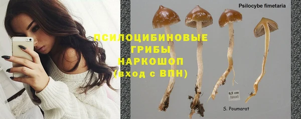 MESCALINE Богородицк