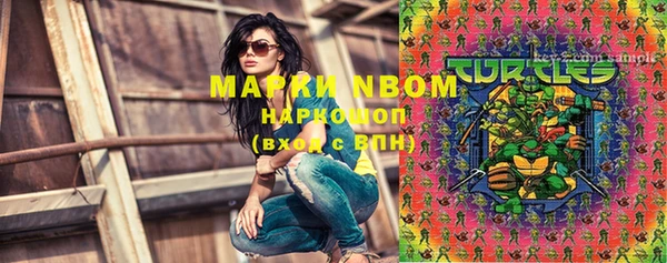 молекула духа Новозыбков