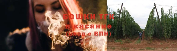 молекула духа Новозыбков