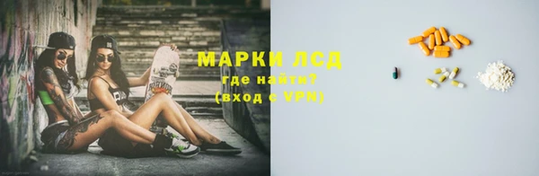 молекула духа Новозыбков