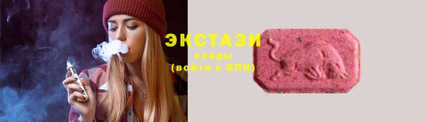 молекула духа Новозыбков