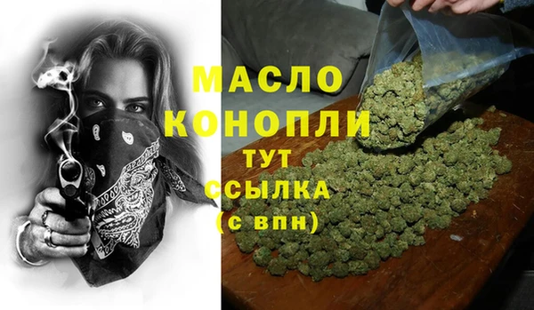 молекула духа Новозыбков
