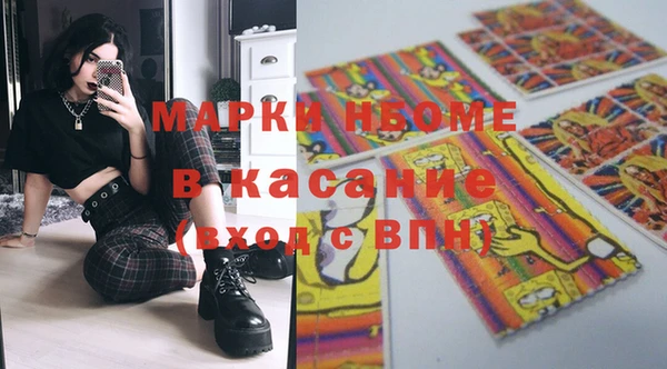 молекула духа Новозыбков