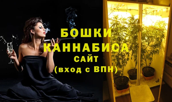 мескалин Новодвинск