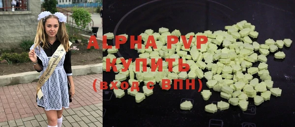 молекула духа Новозыбков