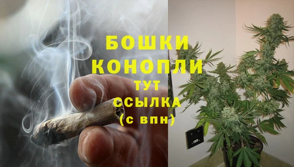 молекула духа Новозыбков
