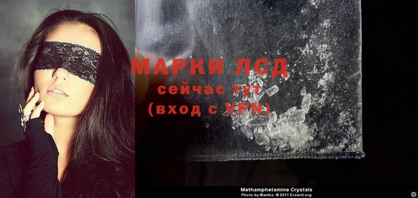 молекула духа Новозыбков