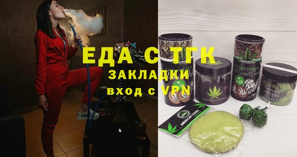 молекула духа Новозыбков