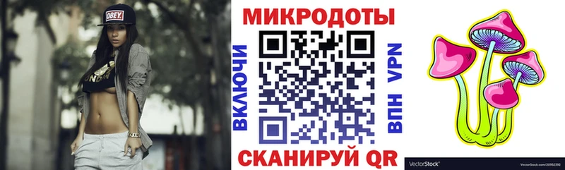 Галлюциногенные грибы Psilocybe  Санкт-Петербург 