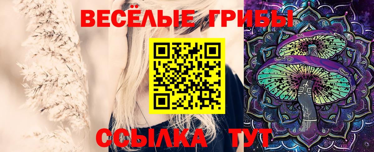 Мефедрон   Гашиш  Сколько стоит  Вход с VPN  ГАШИШ  А ПВП СОЛЬ кристаллы  Вейп ТГК  МЕФ  Санкт-Петербург  Кокаин  Кодеин  Канабис  NBOMe 