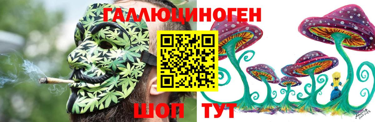 цена наркотик  Вход с VPN  Санкт-Петербург  Псилоцибиновые грибы Psilocybine cubensis  Псилоцибиновые грибы Cubensis 
