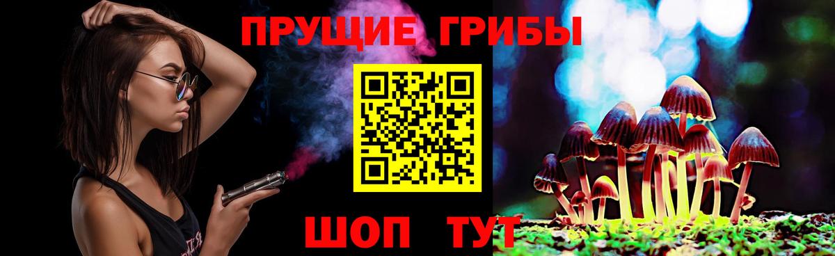 Псилоцибиновые грибы Psilocybe Санкт-Петербург