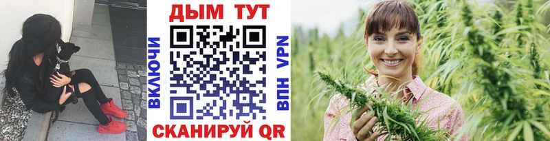 купить закладку  Санкт-Петербург  Каннабис OG Kush 